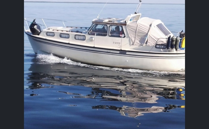 Finnsaurus 28-kuva-1